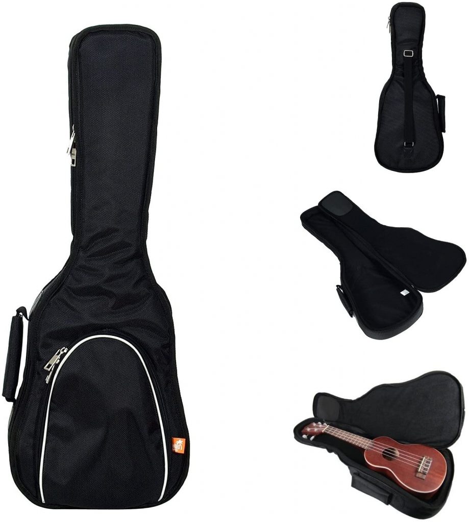 The 8 Best Ukulele Case You Can Buy In The Market (Choices By Experts)